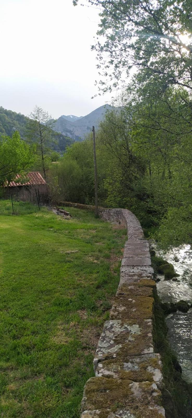 El Molino De Cicera Guest House Eksteriør bilde